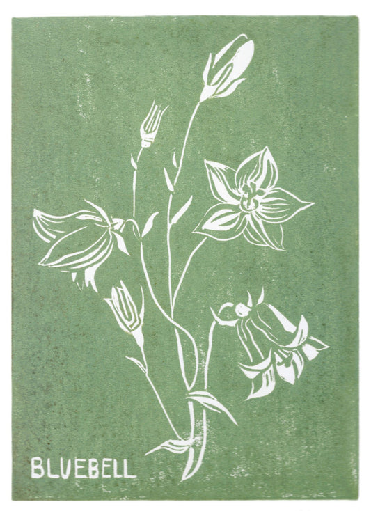 White line linoprint of a bluebell flower on a sage green background