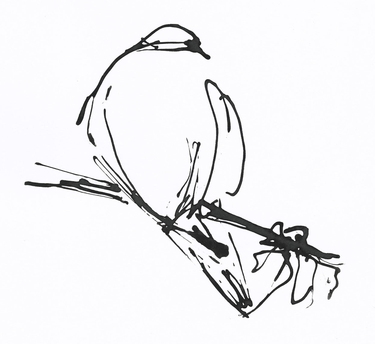 Black and white ink line drawing of a bird perched on a branch