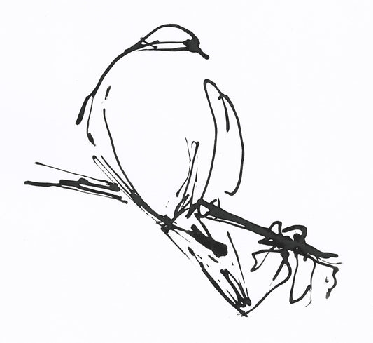 Black and white ink line drawing of a bird perched on a branch
